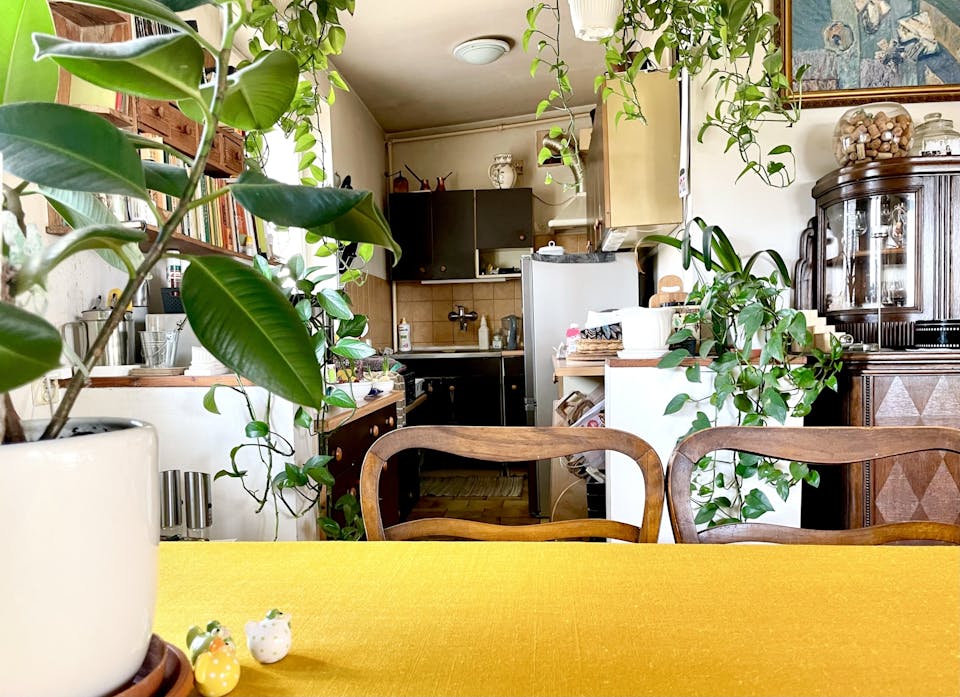 おしゃれで使いやすいキッチンへ｜賃貸・戸建てでDIYできる所は？