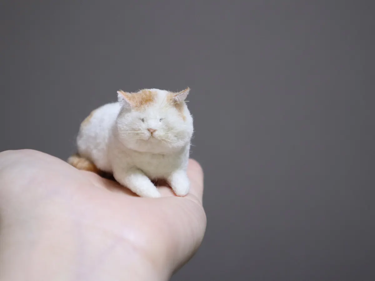 cc8b8f055a9501ae.jpeg?ixlib= cc8b8f055a9501ae.jpeg?ixlib=