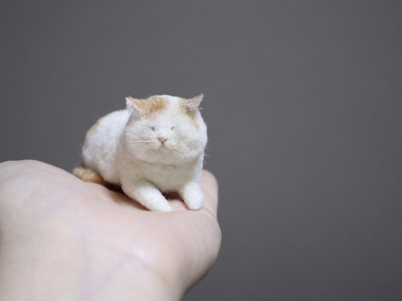 ペットロスにも】羊毛フェルト｜魅力的な猫の作り方｜体験談あり | FANTIST