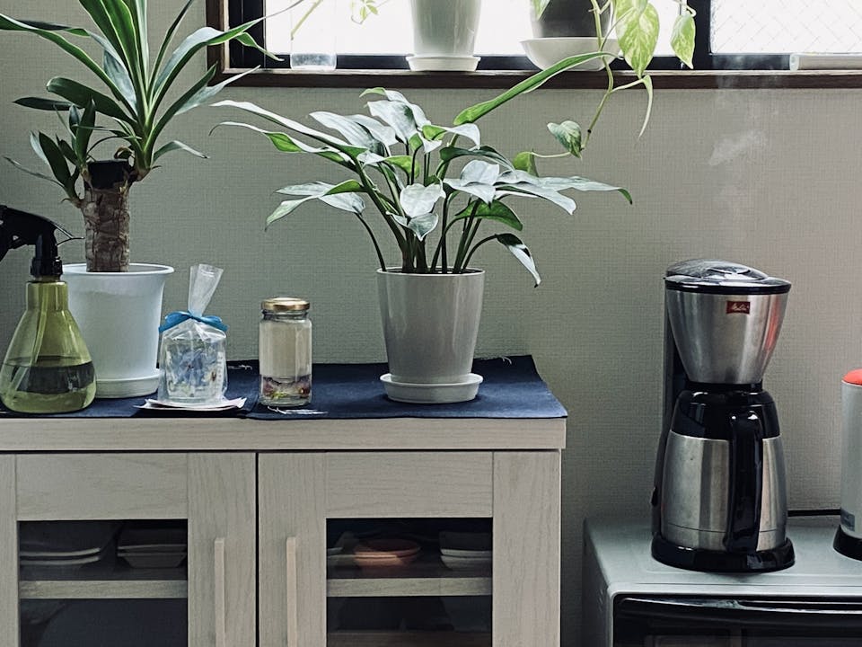 【２】環境にやさしい