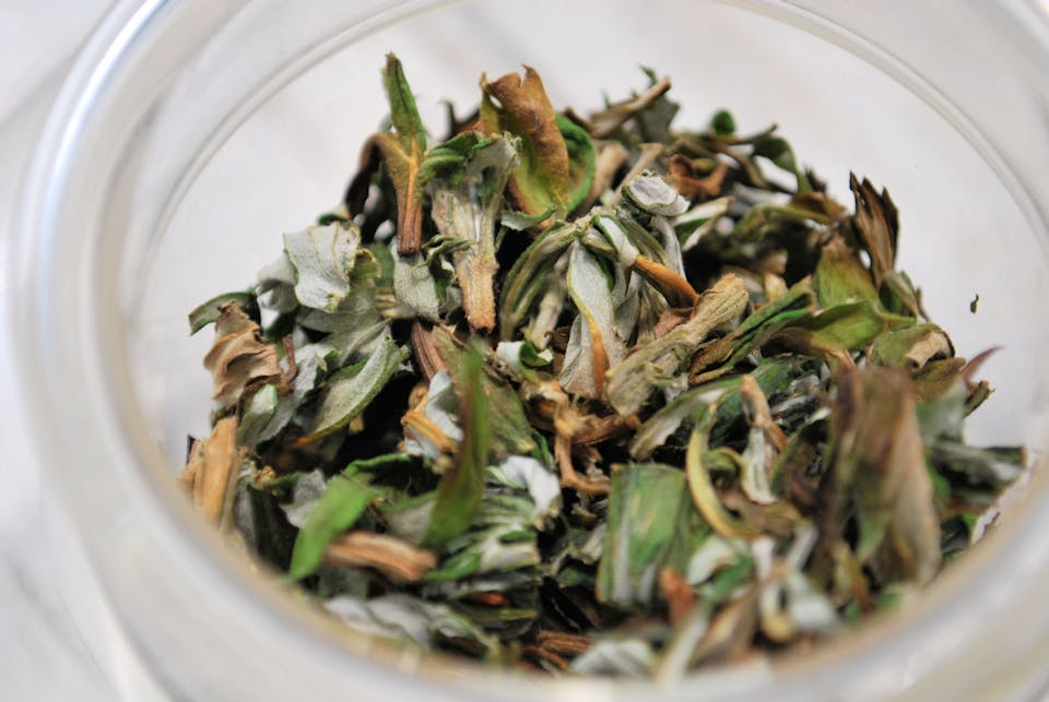 好みや目的に合わせて楽しむ