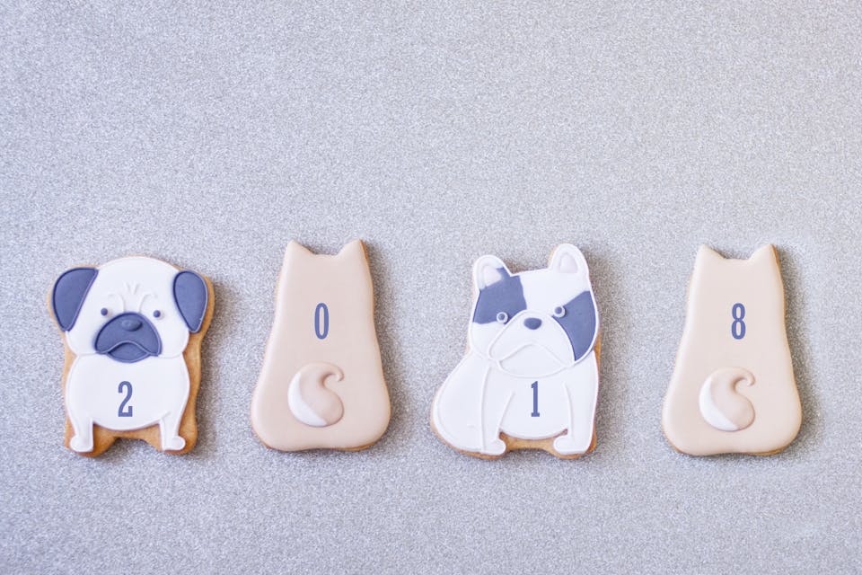 キャラクターやイラストを描く