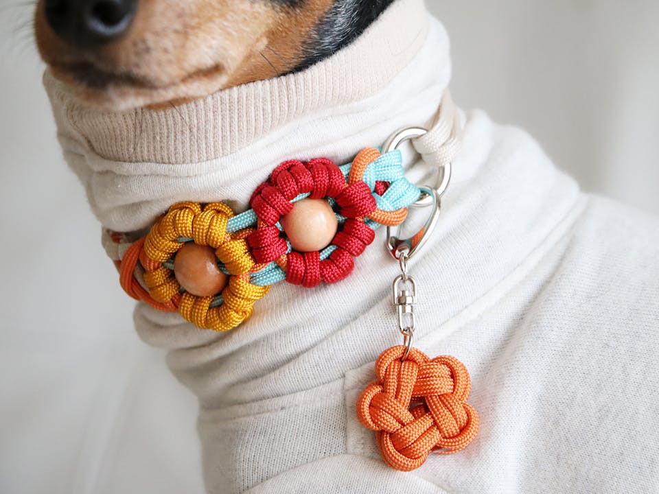 手作りパラコード首輪で愛犬との絆をより深く！