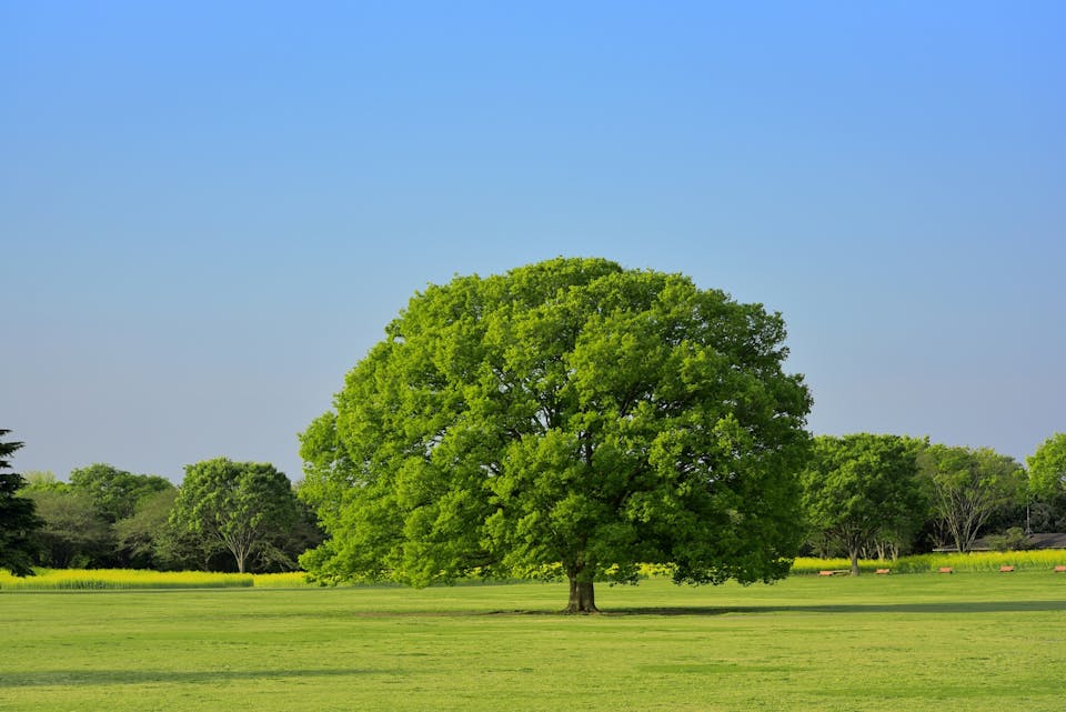 3．占えるのは近未来のことまで