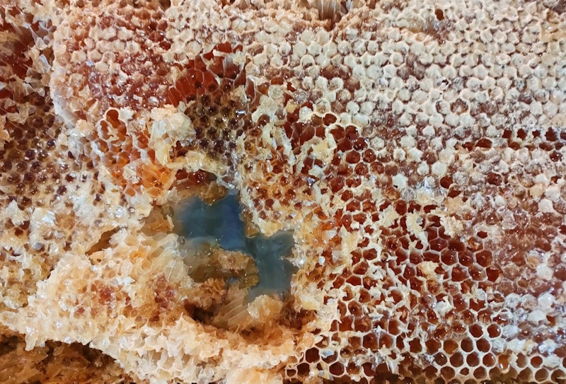 ◼︎「蜜蝋キャンドル」とは？