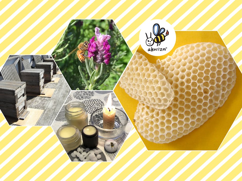 【１】「ミツバチとミツロウ」の座学講座