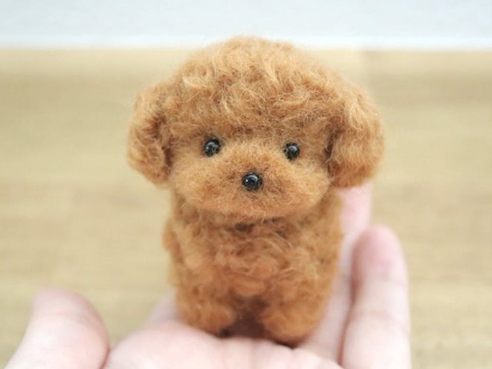 羊毛フェルト作りの学び方