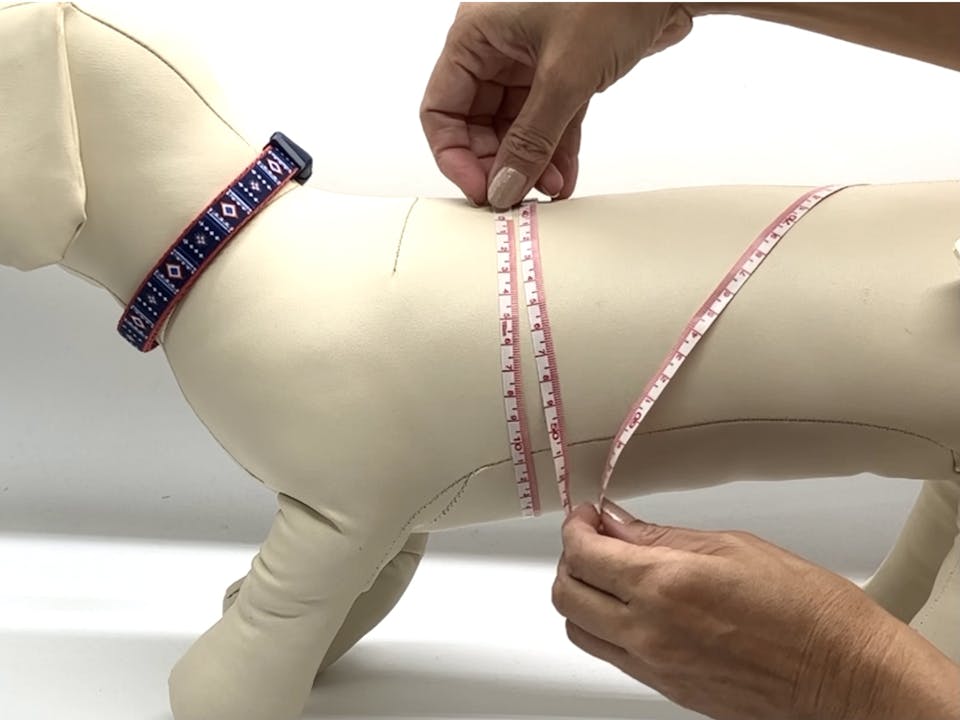 犬服のデザインを考える際のポイント3つ