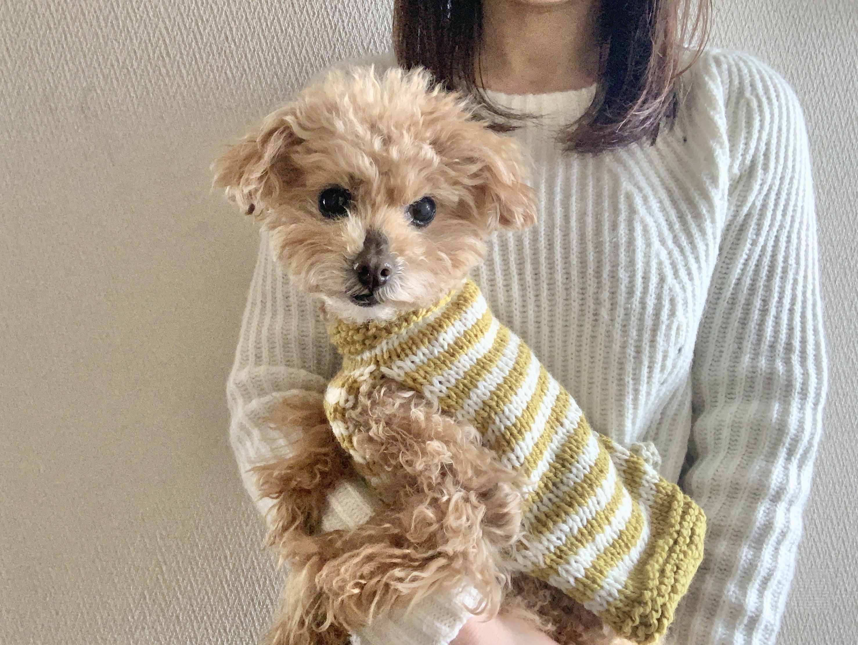 犬 ショップ 服 作り方