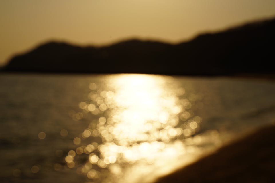 ピントの合わせ方