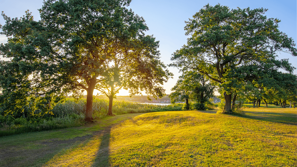 2．リラックス・瞑想