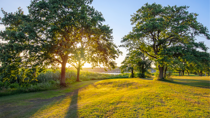 2．リラックス・瞑想