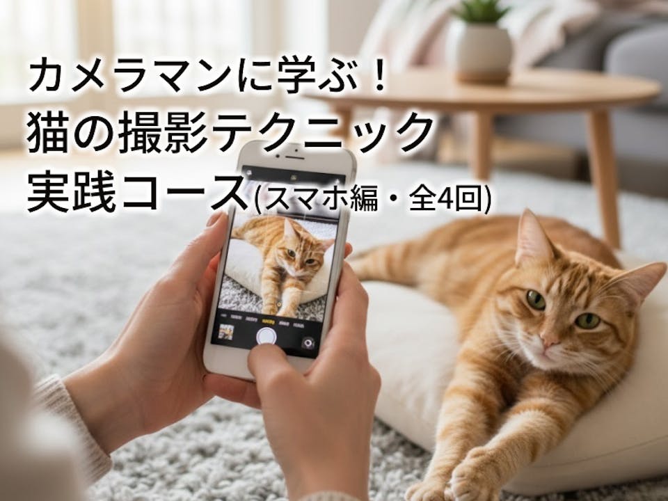 カメラマンに学ぶ！猫の撮影テクニック実践コース（スマホ撮影編）