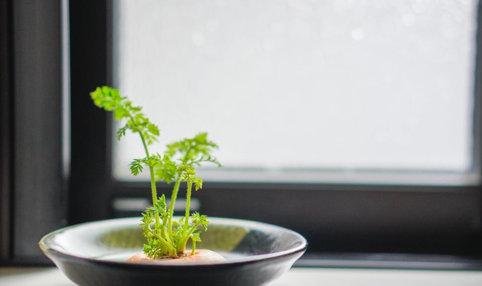 初心者でも気軽にトライできる