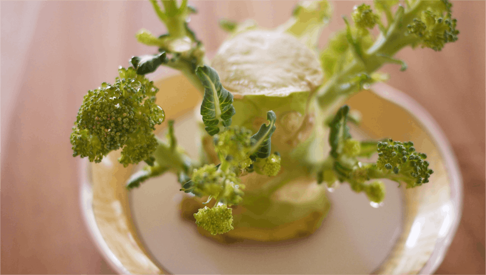 大橋明子「はじめてのキッチン菜園(リボベジ)入門コース」