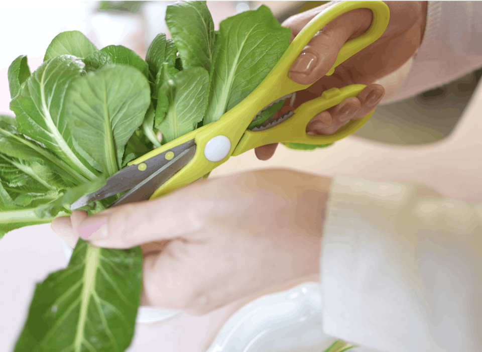 大橋明子「はじめてのキッチン菜園(リボベジ)入門コース」