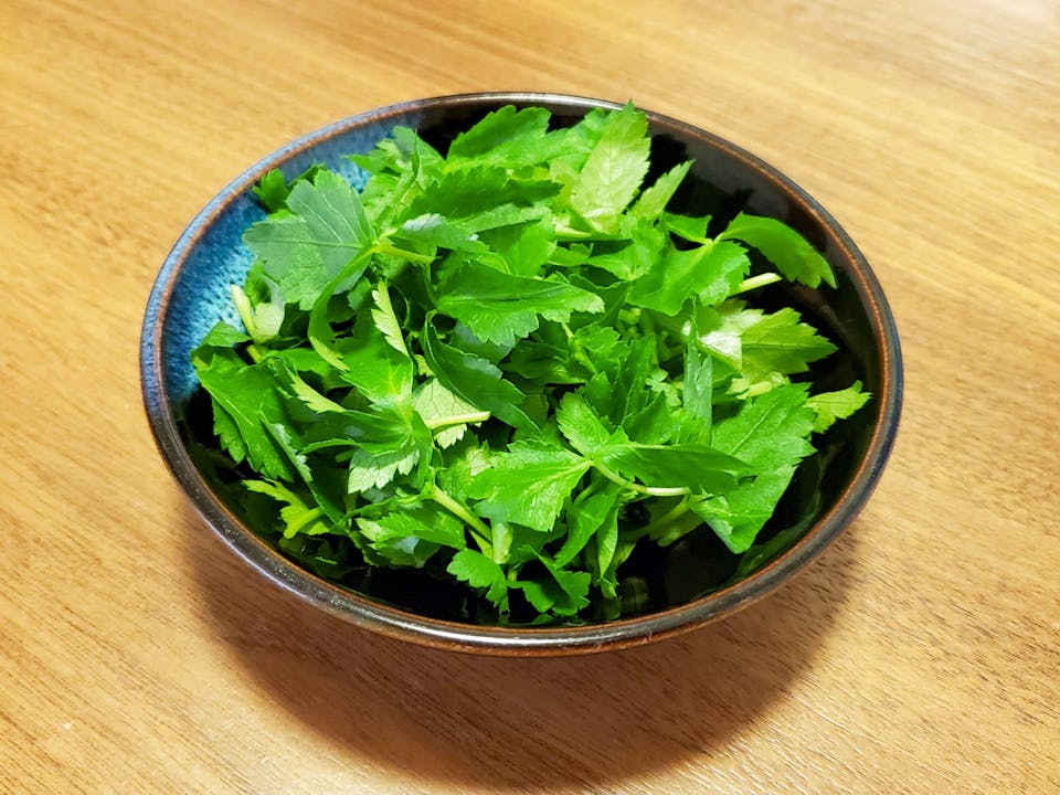 三つ葉｜難易度★★☆