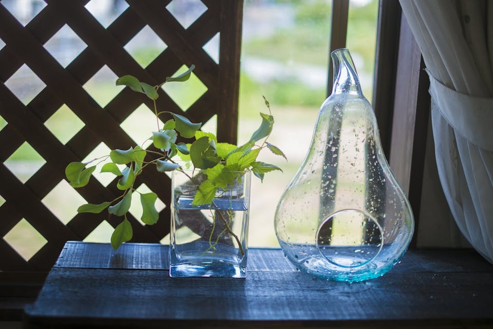 再生栽培に使う容器を工夫する