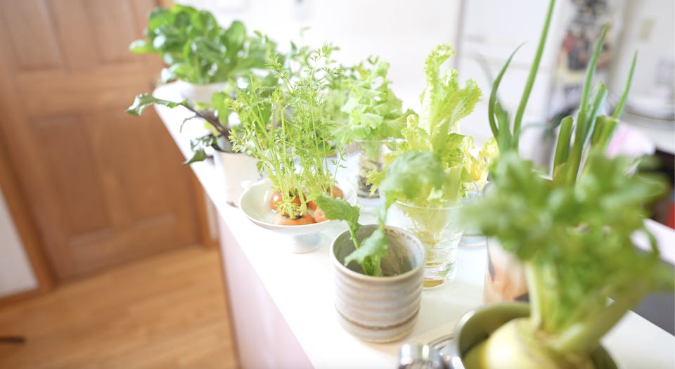 容器やインテリアの統一感を意識する