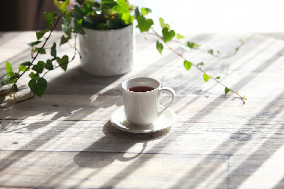 ◼︎タロット占いは初心者も始めやすい！日々の生活に取り入れてみよう