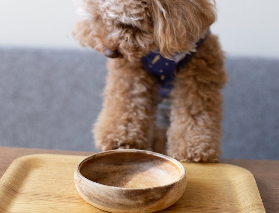 栄養バランスの偏りや栄養不足・過剰摂取に注意