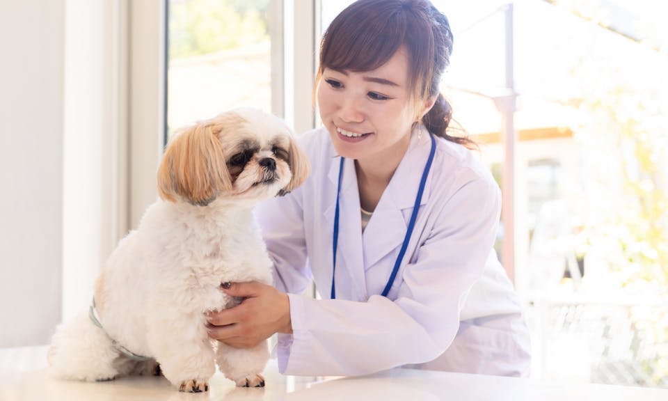 アレルギー反応や消化トラブルの兆候に気をつけて！