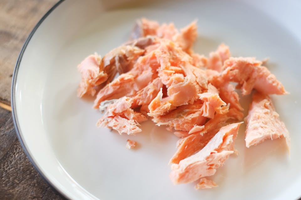 ドライフードに乗せるトッピングアイデア