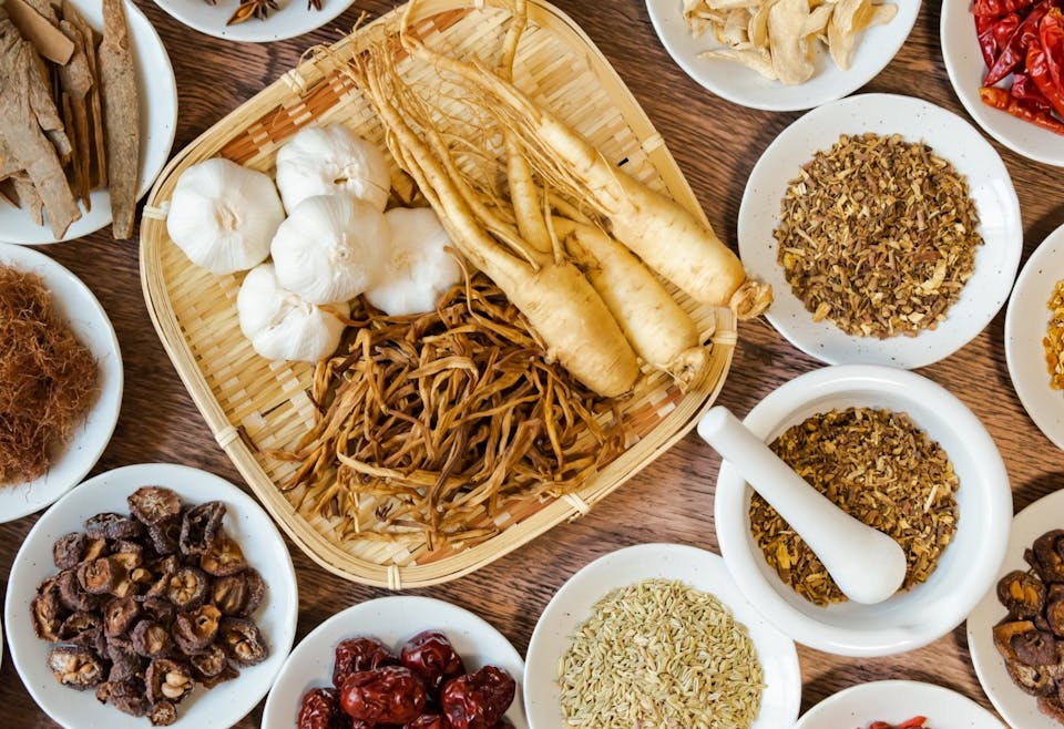 いいことづくし！犬の薬膳ご飯