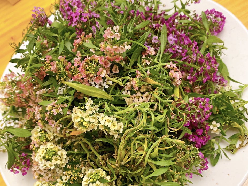 簡単なドライフラワーの4つの作り方