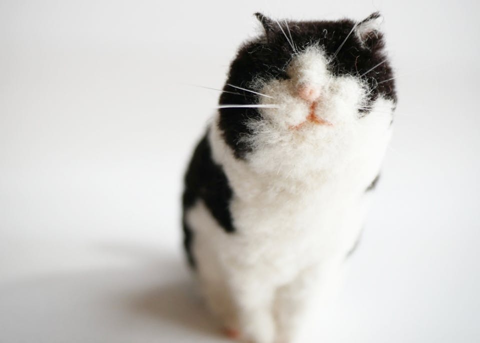 作品制作経験あり（中級レベル）ーこしょうちゃんさん