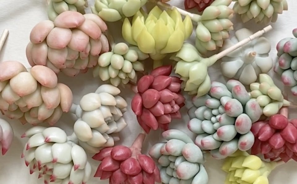 poncotage「多肉粘土職人poncotageが教える！粘土多肉の初級レッスン」 