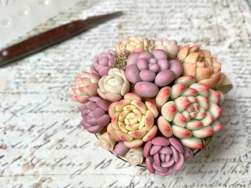 poncotage「多肉粘土職人poncotageが教える！初めての粘土多肉レッスン」