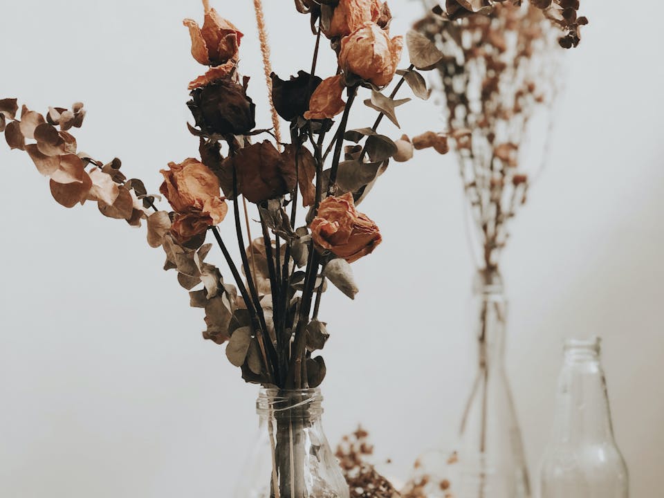 ③ドライインウォーター