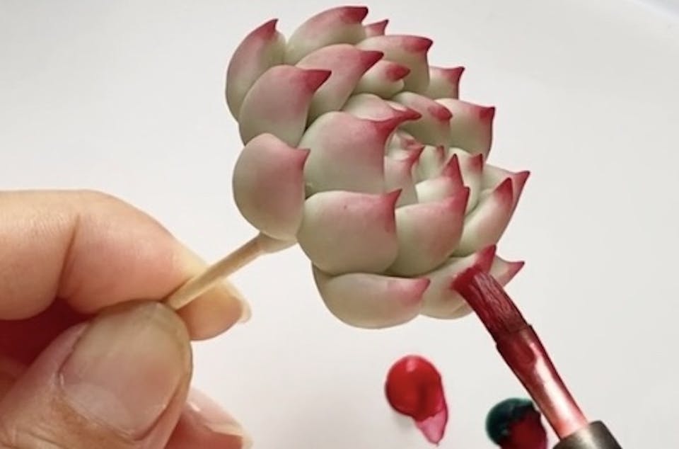 poncotage「多肉粘土職人poncotageが教える！初めての粘土多肉レッスン」