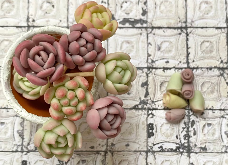 粘土多肉で自分のための癒しの時間を作ろう！