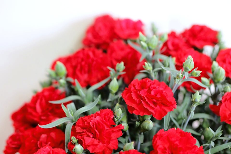 イベントで使えるフレーズ