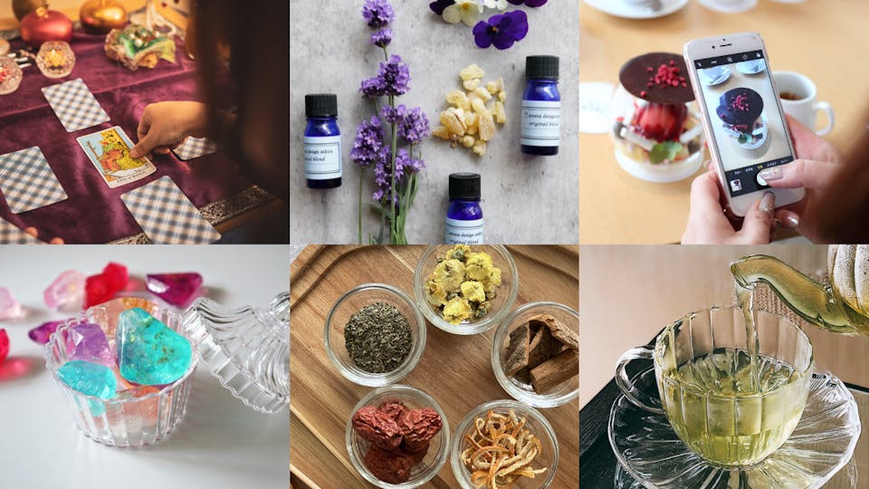 暮らし・健康系