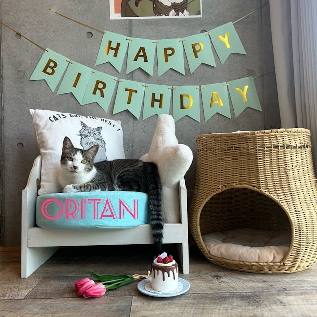 この記事で紹介しているレッスンのイメージ画像