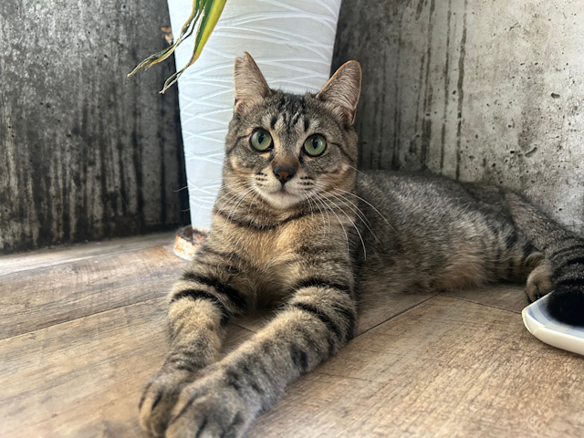 この記事で紹介しているレッスンのイメージ画像