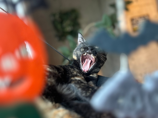 この記事で紹介しているレッスンのイメージ画像