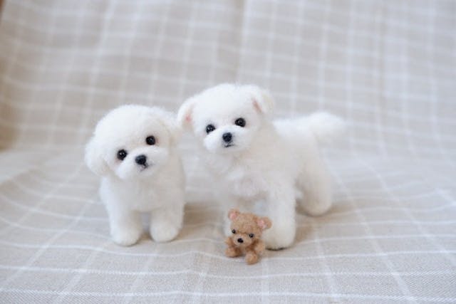 この記事で紹介しているレッスンのイメージ画像