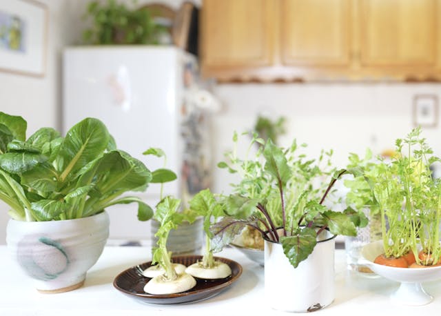 この記事で紹介しているレッスンのイメージ画像