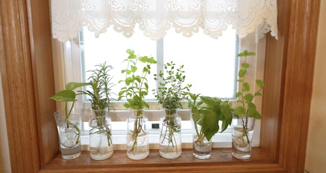 この記事で紹介しているレッスンのイメージ画像