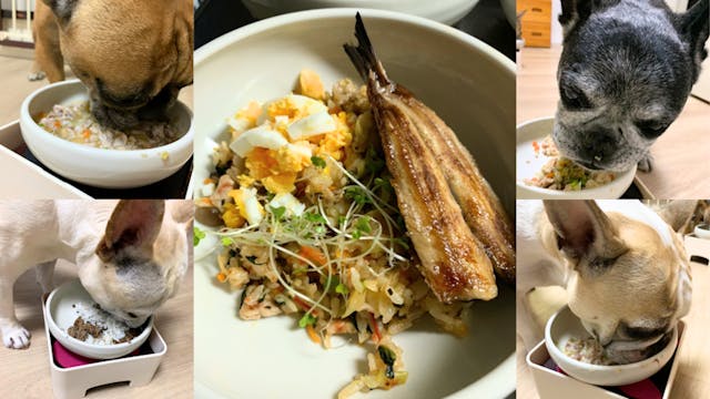 この記事で紹介しているレッスンのイメージ画像