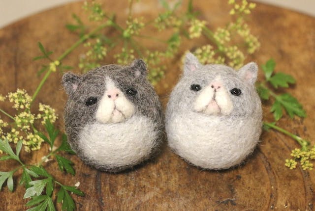 この記事で紹介しているレッスンのイメージ画像