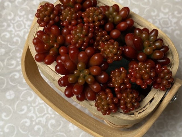 この記事で紹介しているレッスンのイメージ画像