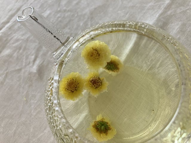 この記事で紹介しているレッスンのイメージ画像