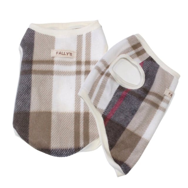 この記事で紹介しているレッスンのイメージ画像