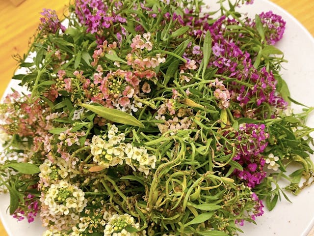 この記事で紹介しているレッスンのイメージ画像