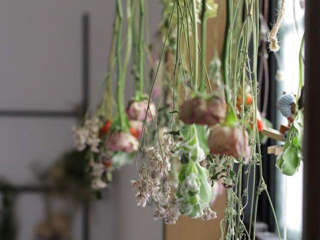 この記事で紹介しているレッスンのイメージ画像